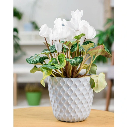 Горшок для цветов пластиковый 2,5л d-17,5см Wave с дренажной сеткой и съемным поддоном, утренний туман_6