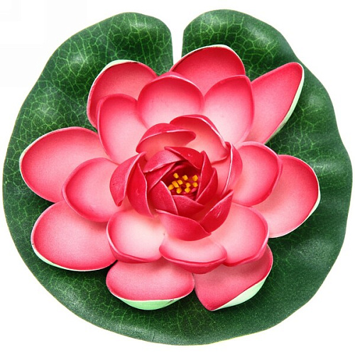 Растение водоплавающее Кувшинка Розитта d-15см розовая_6