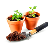 Товары для рассады